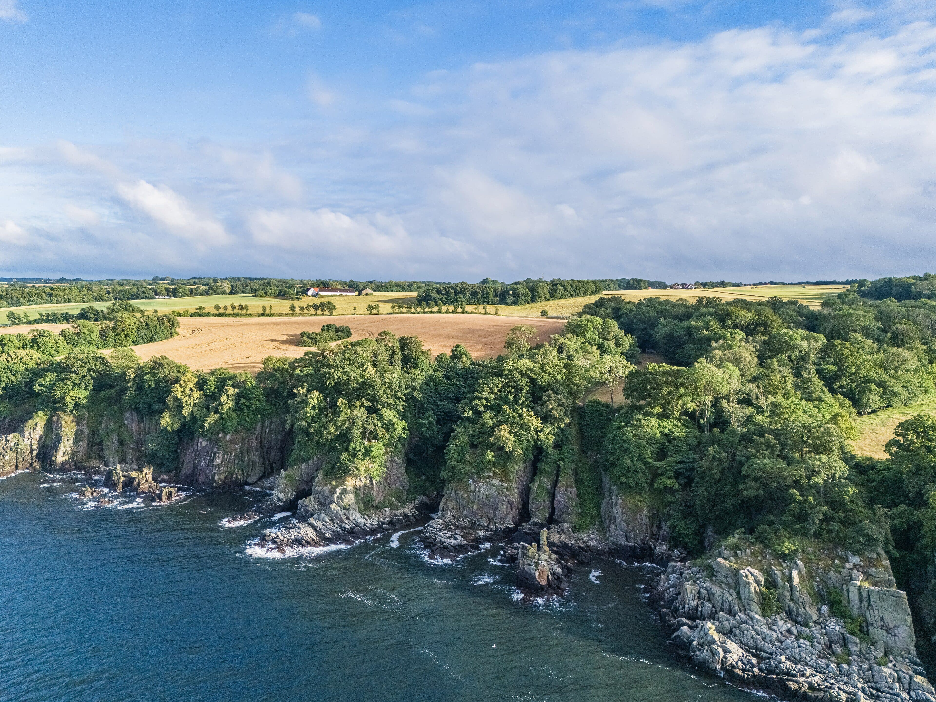Klippekysten ved Bornholm med hav og grønne skrænter